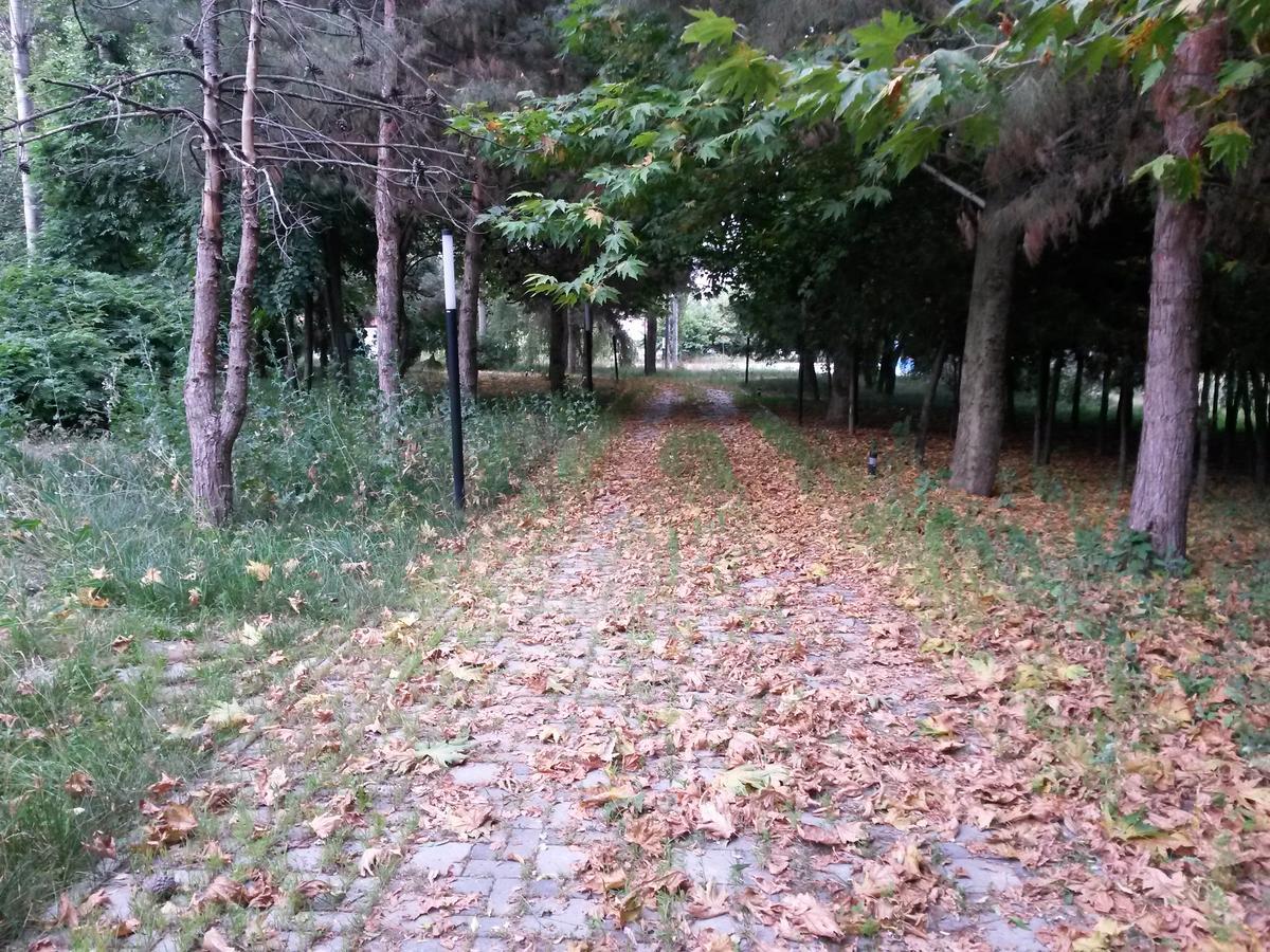 Sheki Olimpiya Hotel & Resort Bagian luar foto