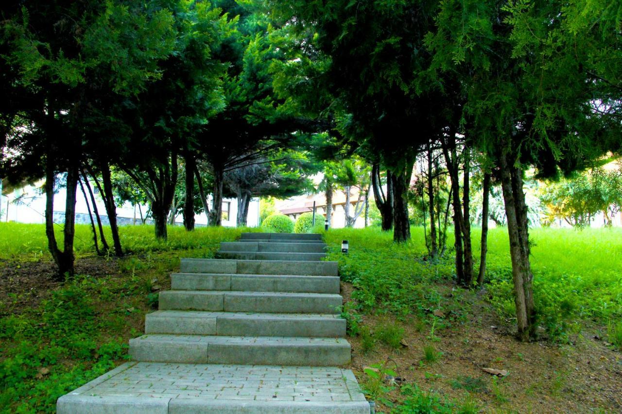 Sheki Olimpiya Hotel & Resort Bagian luar foto