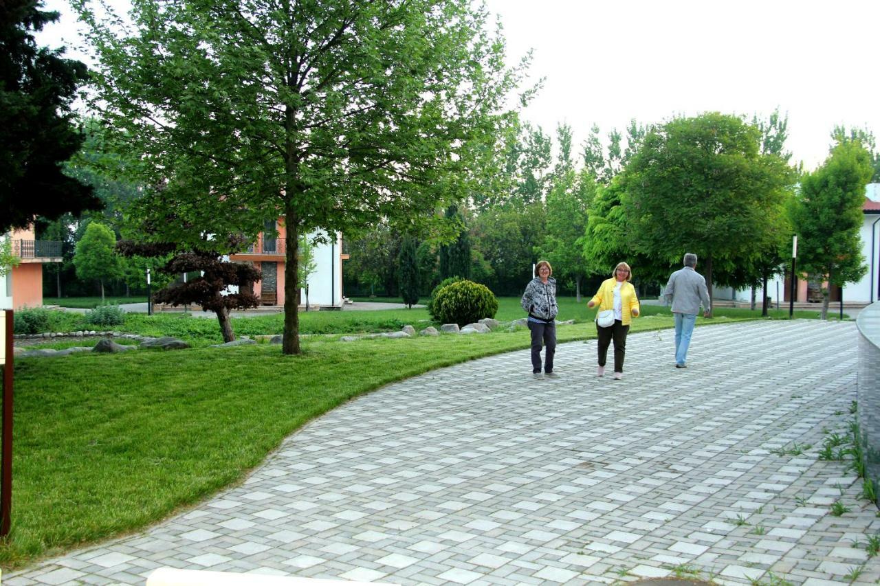 Sheki Olimpiya Hotel & Resort Bagian luar foto